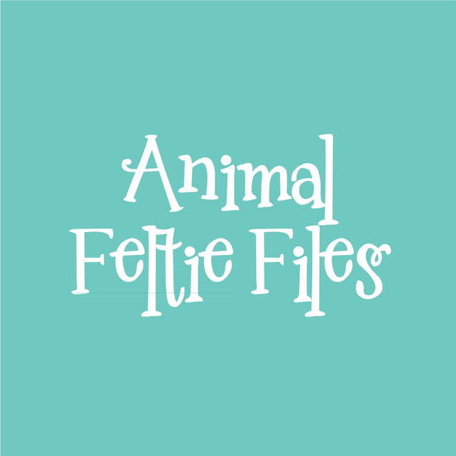 Animal Feltie Files